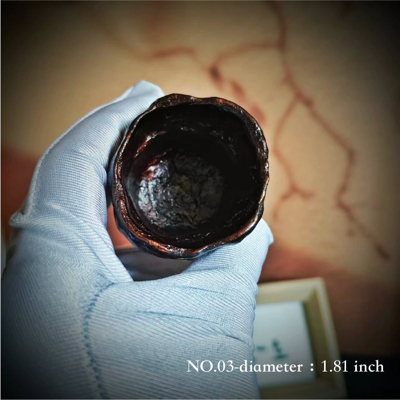 Natural Lingzhi Lacquer Tea Cup