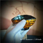 Natural Lingzhi Lacquer Tea Cup