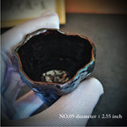 Natural Lingzhi Lacquer Tea Cup